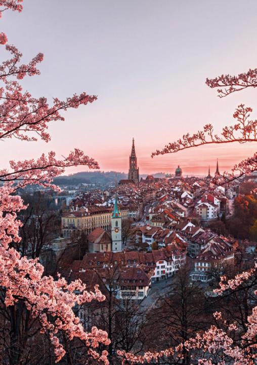 Image du produit Swiss Foto-Almanach 2026 (A5, Allemand, Français, Italien, Anglais)
