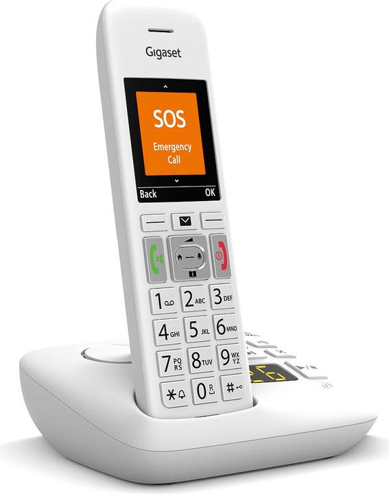 Image du produit Gigaset E390A