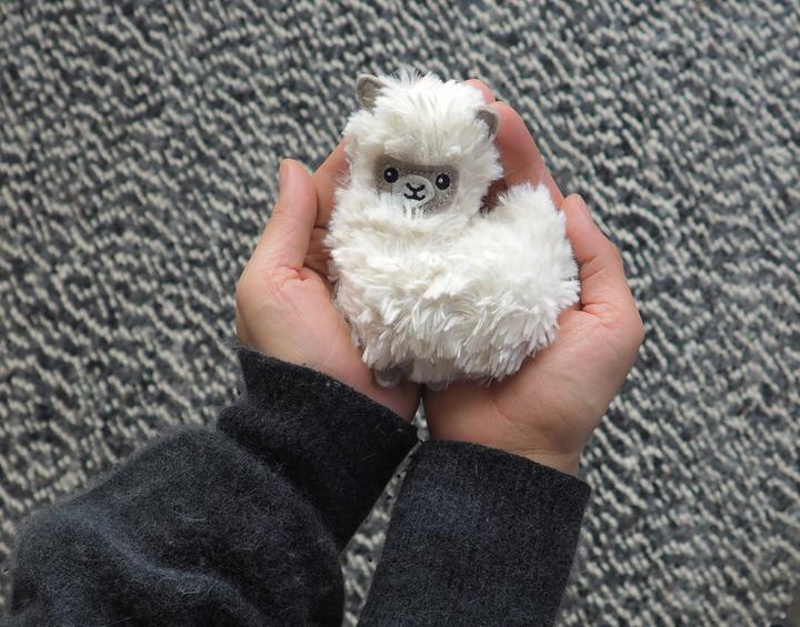 Image du produit Bitten Pocket Pal Fluffy Llama