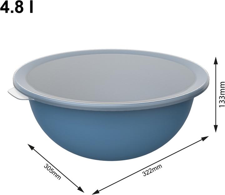 Image du produit Rotho Bol Caruba 30.5 cm, bleu (30.50 cm, 4.80 l, 1 x)