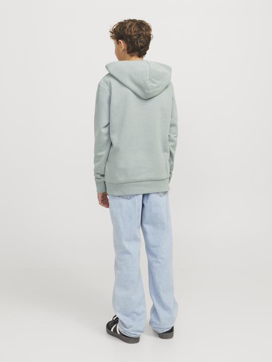 Produktbild Jack & Jones Jjecaleb Varsity Sweat Hood Noos Jnr (128)