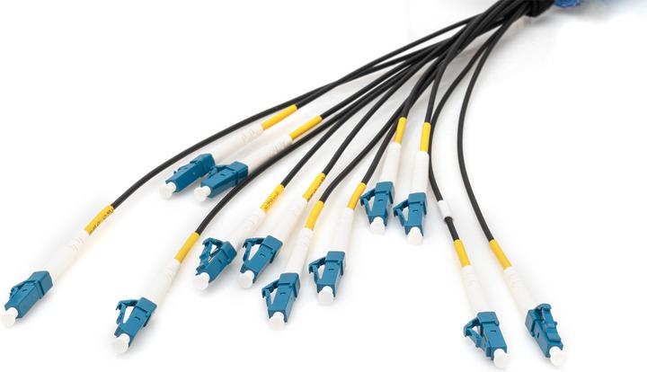 Image du produit Digitus Câble breakout fibre optique universel préassemblé, multimode OS2, 12 fibres, LC/UPC – LC/UPC (LSOH, CAT6, 100 m)