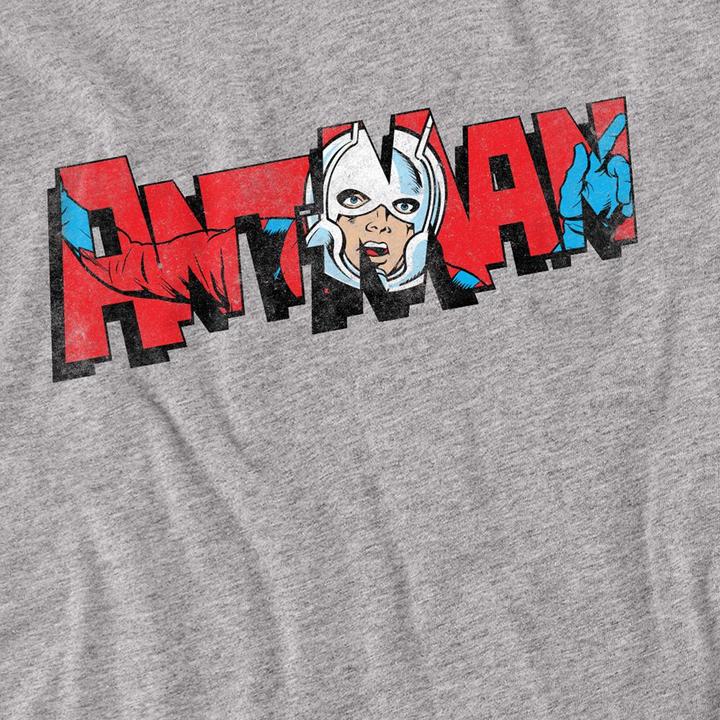 Actual product image Ant-Man and the Wasp: Quantumania Unisex Adult Retro Frame Logo T-Shirt (XXL)