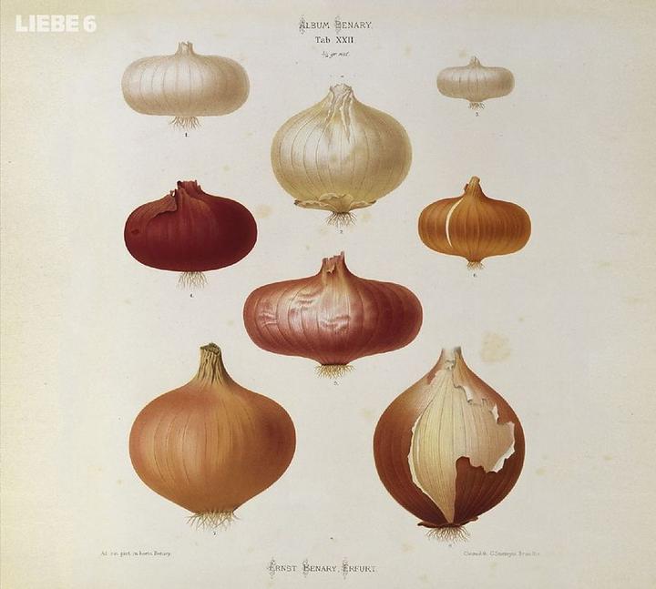 Actual product image Liebe 6 (German, Hagen Rether, 2016)