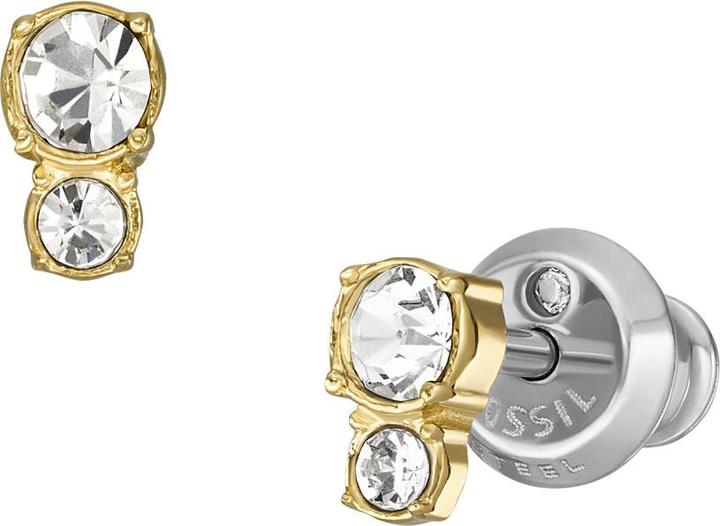 Actual product image Fossil Jewelry Stud Earrings (Stainless steel)
