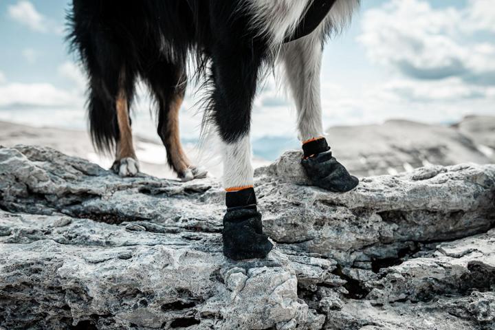 Produktbild Non-Stop Dogwear Protector (M, Hundebademantel)