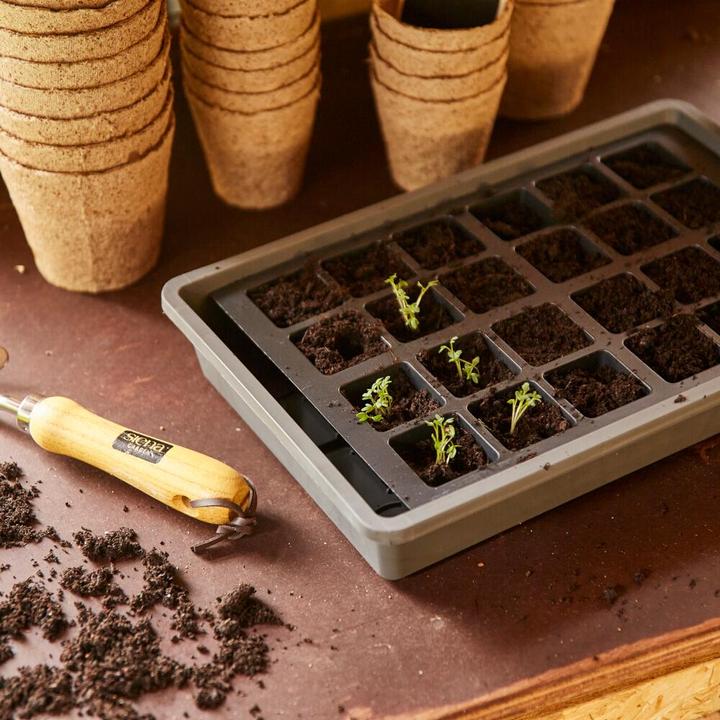 Actual product image Siena Garden Growing plates
