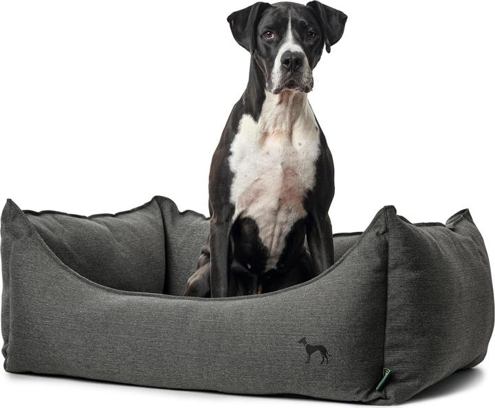 Immagine prodotto Hunter Livingston (Cane)