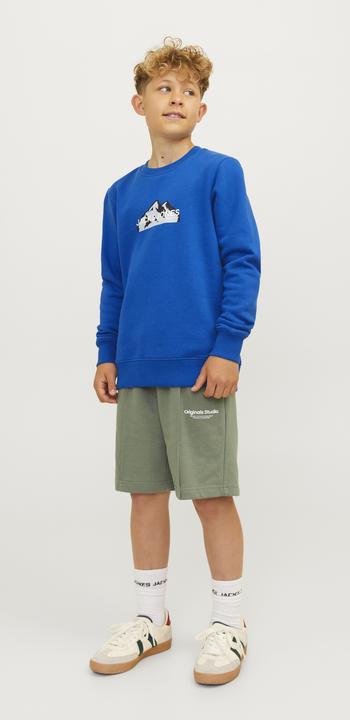 Immagine prodotto Jack & Jones Jcomountain Logo Sweat Crew Neck Sn Mni (104)