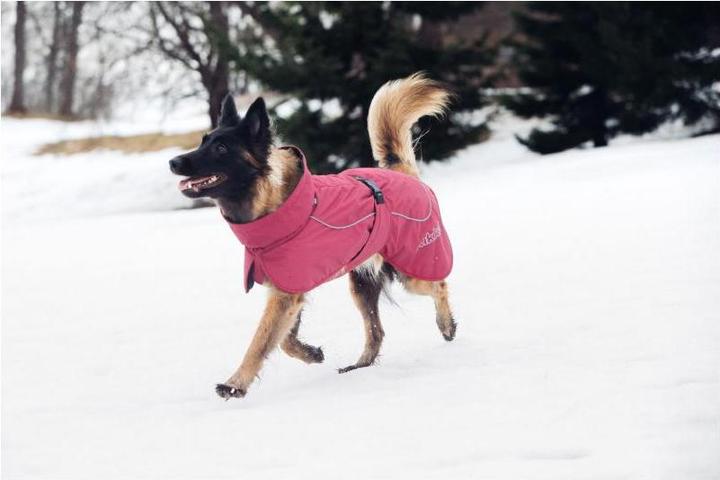 Image du produit Rukka Stormy (45, Manteau pour chien)