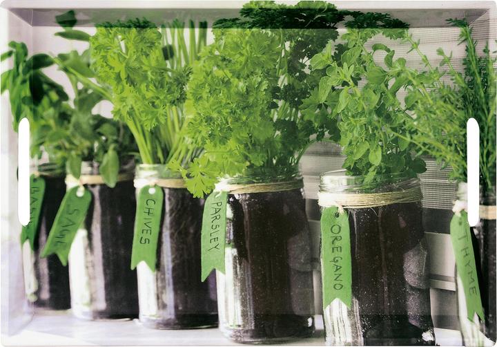 Image du produit Kesper Plateau de service 'Herbs
