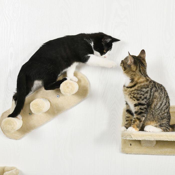 Image du produit Swisshandel24 Katzen Kletterwand 4 tlg, Katzenkratzbaum inkl. Klettern, bis 5kg (23.50 cm, Beige)