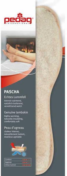 Image du produit Pedag Pascha