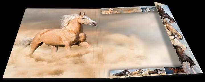 Actual product image HERMA A3 motif folder (A3, 1 x)
