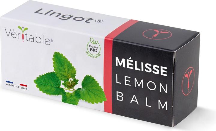 Véritable Menta piperita biologica (Semi di erbe)