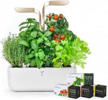 Véritable VERITABLE CONNECT Indoor Garten gold inkl 4 Packs (18.50 cm)