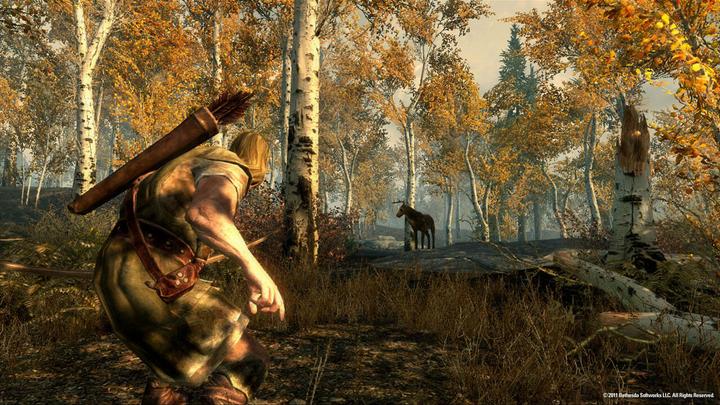 Image du produit Bethesda The Elder Scrolls V : Skyrim (Switch, Multilingue)