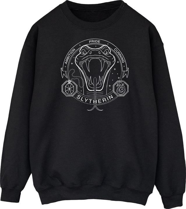 Image du produit Sweat-shirt Slytherin pour hommes (XL)