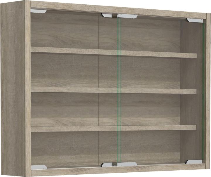 VCM Wooden Glass Hanging Showcase Wall Display Case Collector's Deco Showcase Agisa M (57 x 10 x 40 cm)