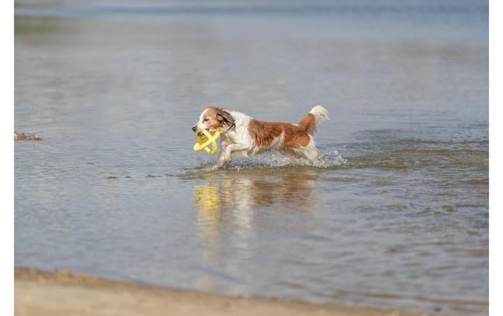 Actual product image Trixie Aqua Toy Gripper (Retrieval)