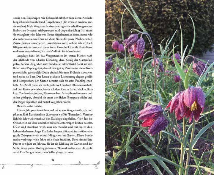 Immagine prodotto Bin im Garten (Tedesco, Meike Winnemuth, 2019)