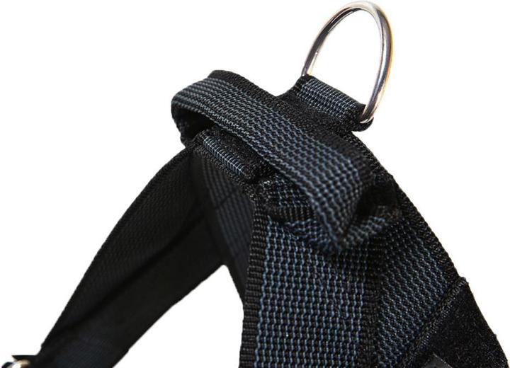Actual product image Julius-K9 IDC® webbing harness Size: Chest circumference (1, Dog, Dog sport)