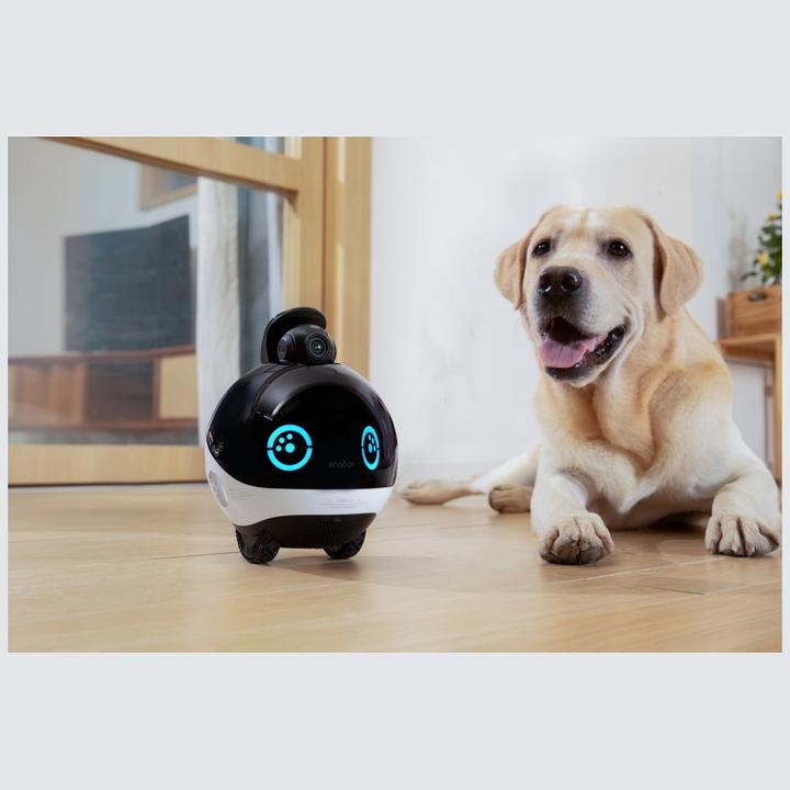 Actual product image Enabot EBO X surveillance robot with WLAN camera (3840 x 2160 pixels)