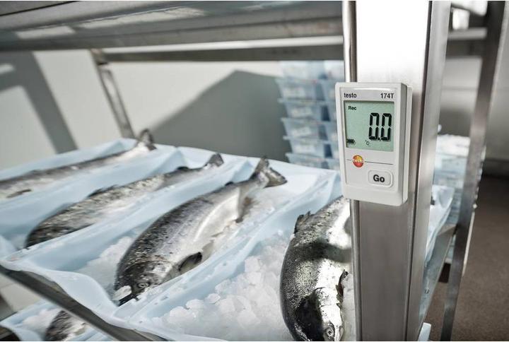 Image du produit Testo Enregistreur de données de température 174 T Kit de démarrage (Thermomètres)