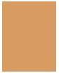 Immagine prodotto Estée Lauder Pure Color (3W1 Fulvo)
