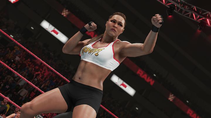 Image du produit 2K Games WWE 2K19 Standard Xbox One (Xbox One S, EN)