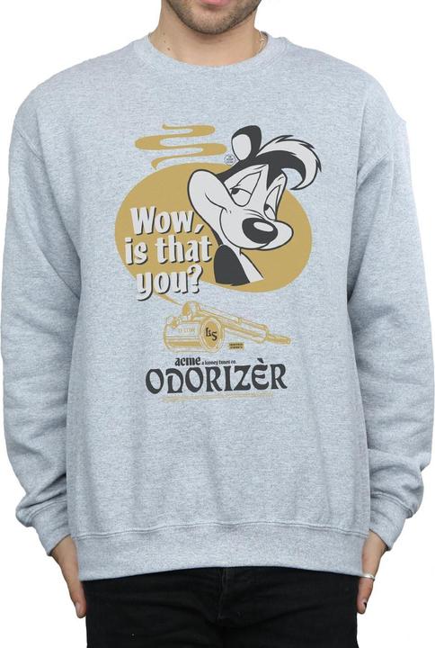 Produktbild Looney Tunes Odorizer Sweatshirt (XL)