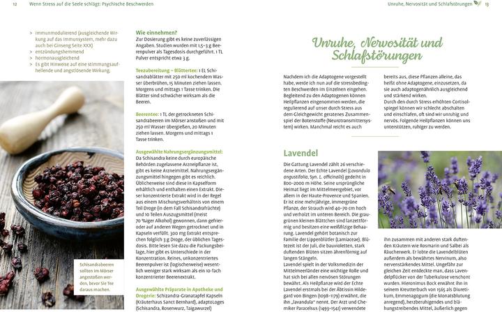 Actual product image Girsch:Mit Naturheilkunde Stress bewält (German, Michaela Girsch, 2024)