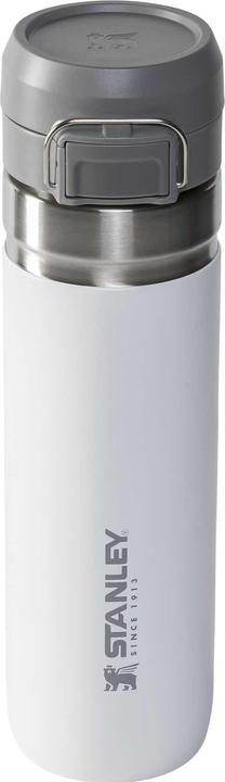 Immagine prodotto Stanley 1913 Bottiglia d'acqua Quick Flip (0.70 l)