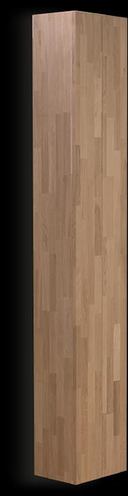 Eisenhorn Designschrank