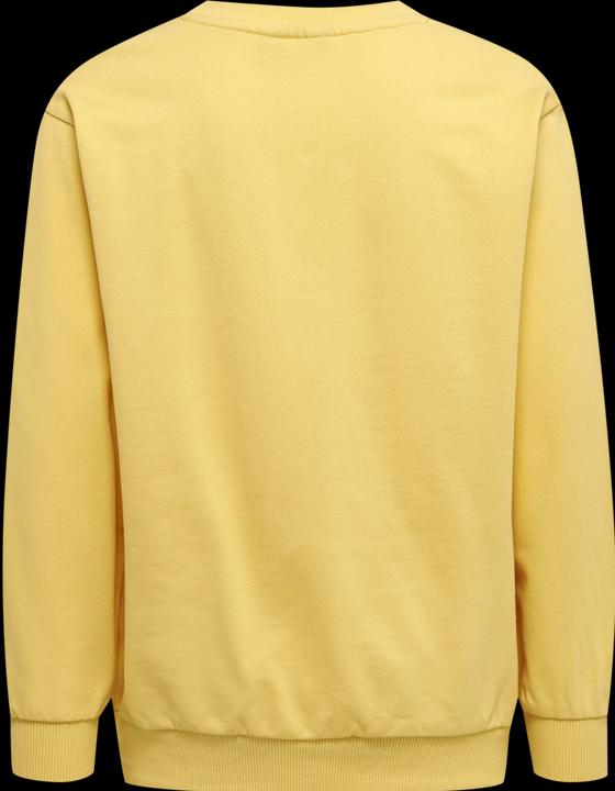 Image du produit hummel hmlCLOUD TRACKSUIT (146)