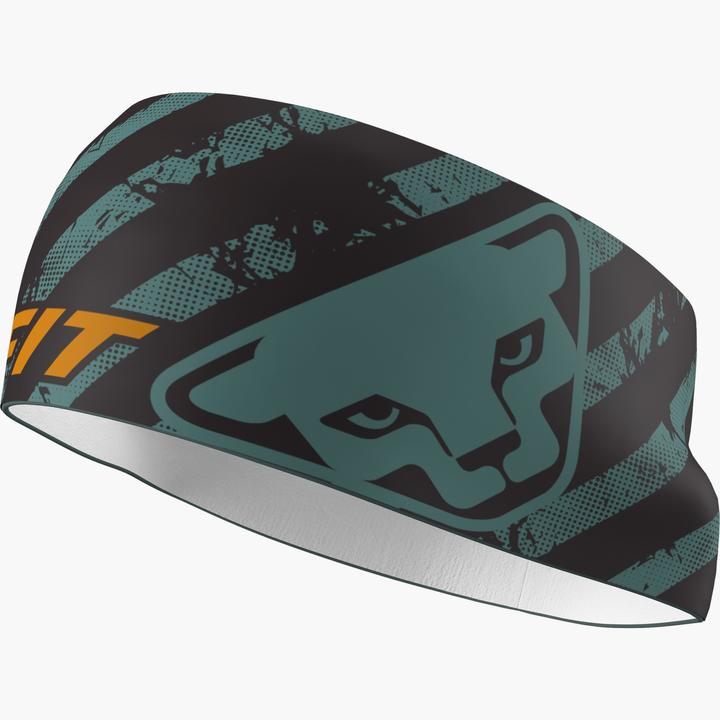 Actual product image Dynafit Graphic Performance Headband Stirnband