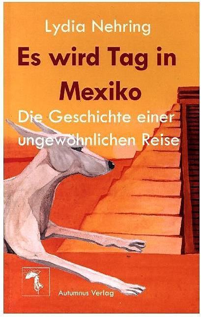 Produktbild Es wird Tag in Mexiko (Deutsch, Haakon Auster, Lydia Nehring, Joseph Klingenberg, 2010)