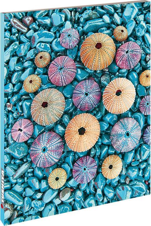 Produktbild Tushita Sea Treasures (Deutsch)