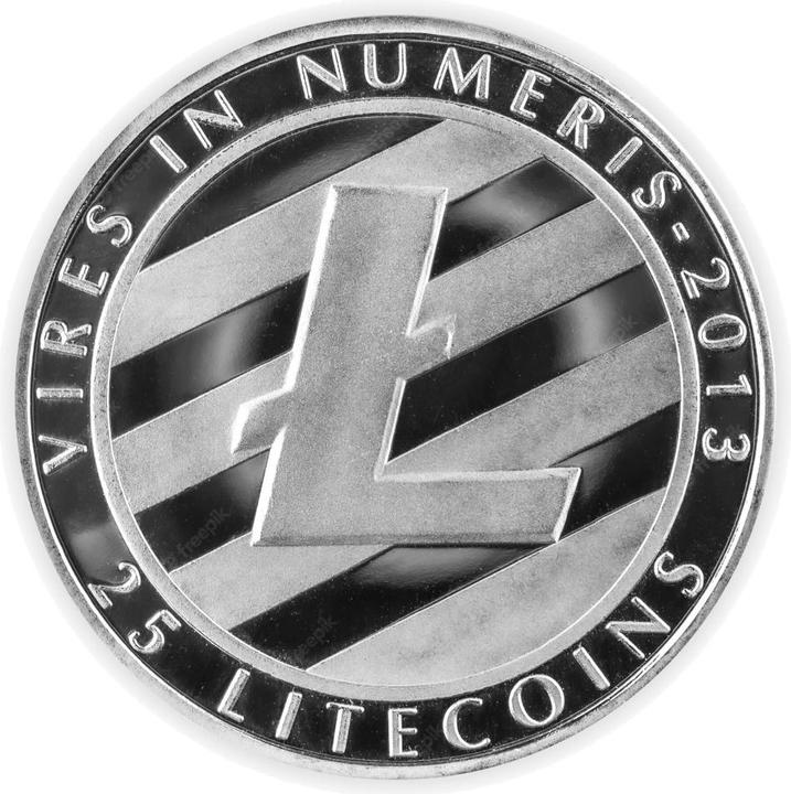 Crypto Novelty Litecoin Cryptocurrency Souvenir Novelty Item Coin