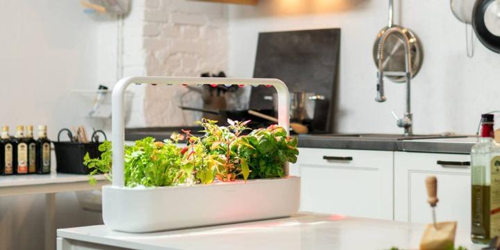 Actual product image Click and Grow Smart Garden 9 (62.50 cm)