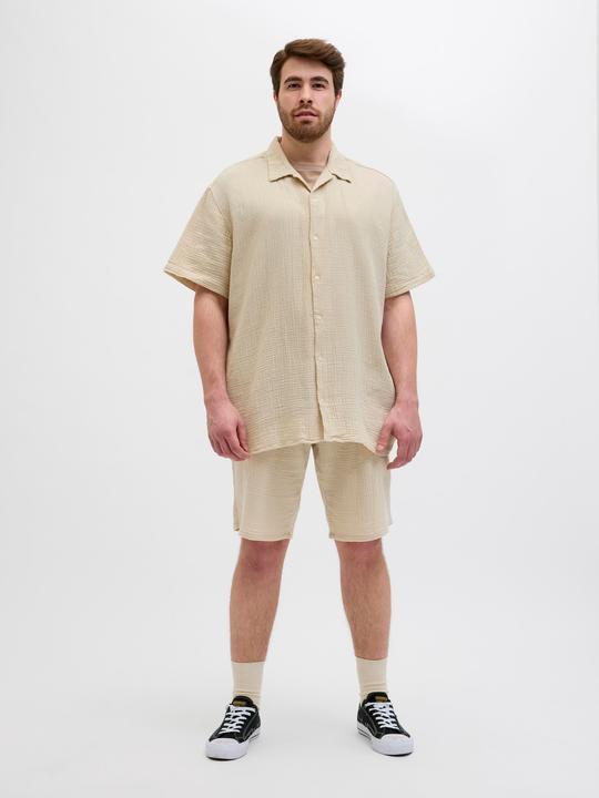 Image du produit Jack & Jones Plus Size Loose Fit Relaxed Fit Shorts Relaxed Fit Shorts (42)