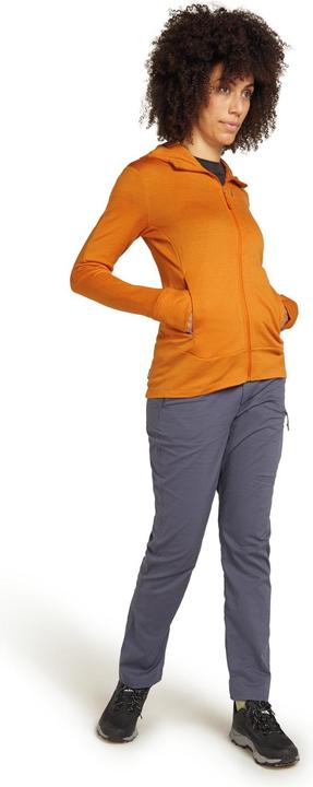 Actual product image Icebreaker Women Merino Mer 260 Quantum IV LS Zip Ho (S)