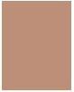 Produktbild Shiseido Synchro Skin Self-Refreshing - Liquid Concealer Light 203 (Nude)