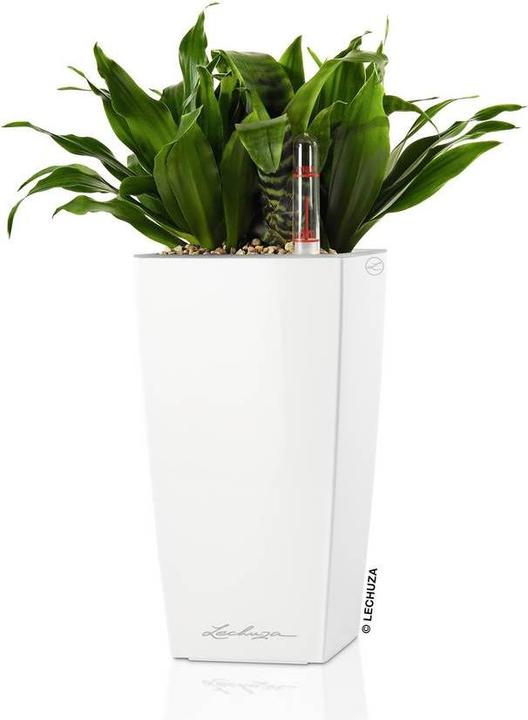 Image du produit Lechuza Mini Cubi (9.50 cm)