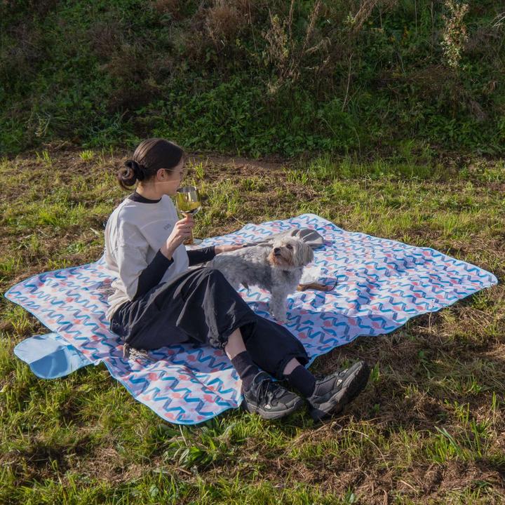 Actual product image Intirilife Foldable picnic blanket Waterproof