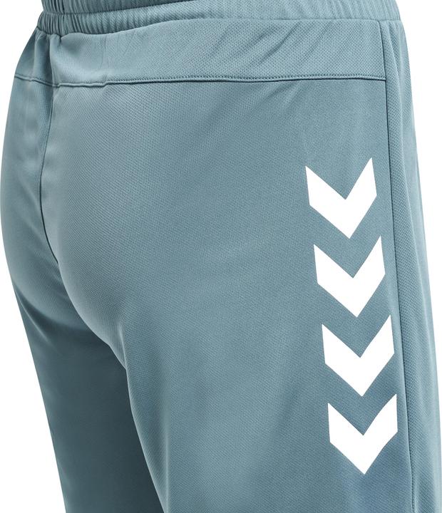 Actual product image hummel Te Topaz Shorts (L)