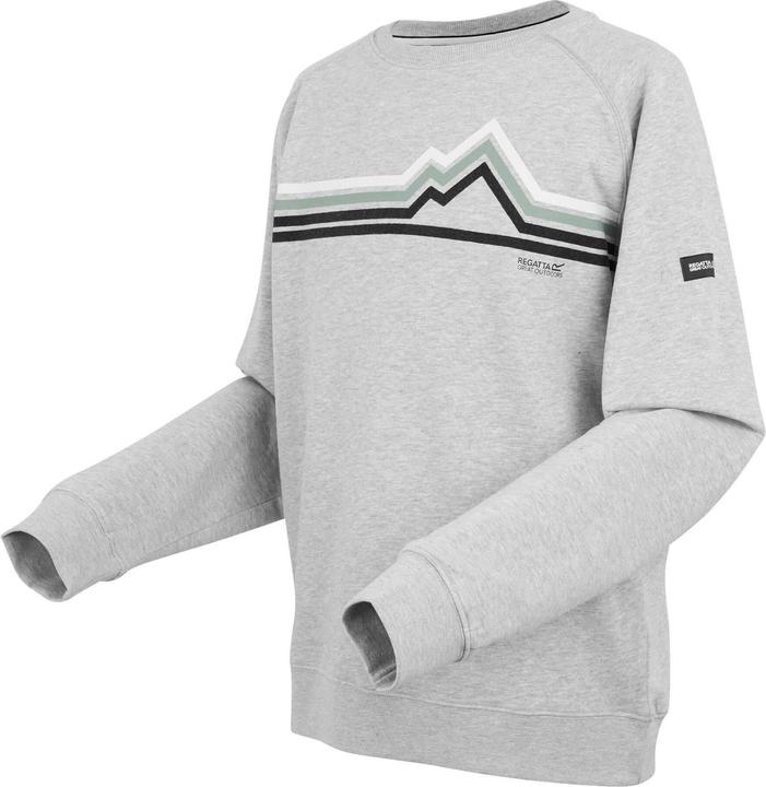 Actual product image Regatta Mens Nithsdale Linear Mountain Crew Neck Sweatshirt (3XL)