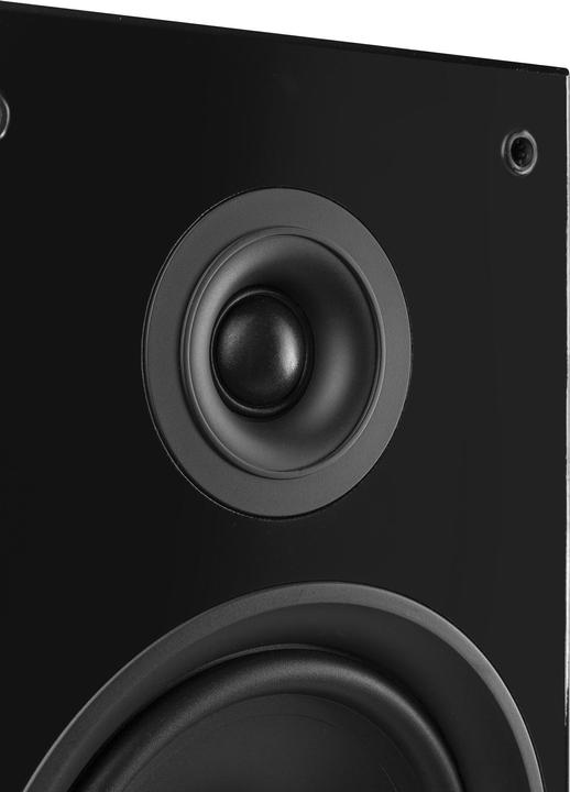 Actual product image Fenton SHF80B (1 pair, 250 W)