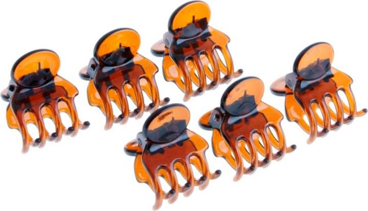 DailyGo Haarklemme (6 Stk.)