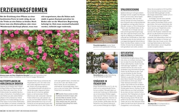 Produktbild Grünes Gartenwissen. Pflanzen richtig schneiden (Deutsch, Stephanie Mahon, Reinhard Ferstl, DK Verlag, 2022)